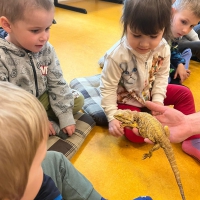 Ekopaleta 17.4.2024 Koťátka